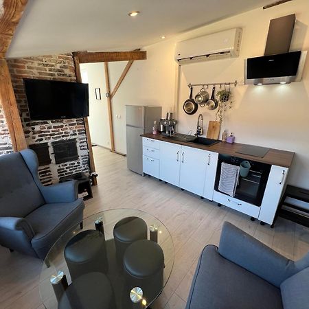 Bellevue Appartement Sous Les Toits Hypercentre Climatise Доль Экстерьер фото